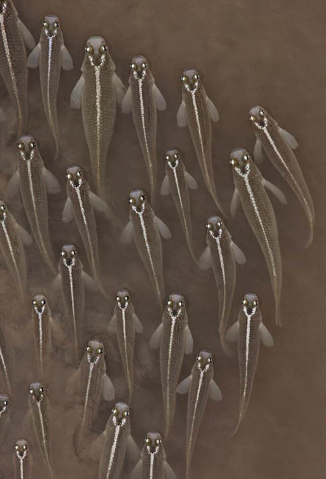 Imagem de São Luís é premiada em Concurso de Fotografia 