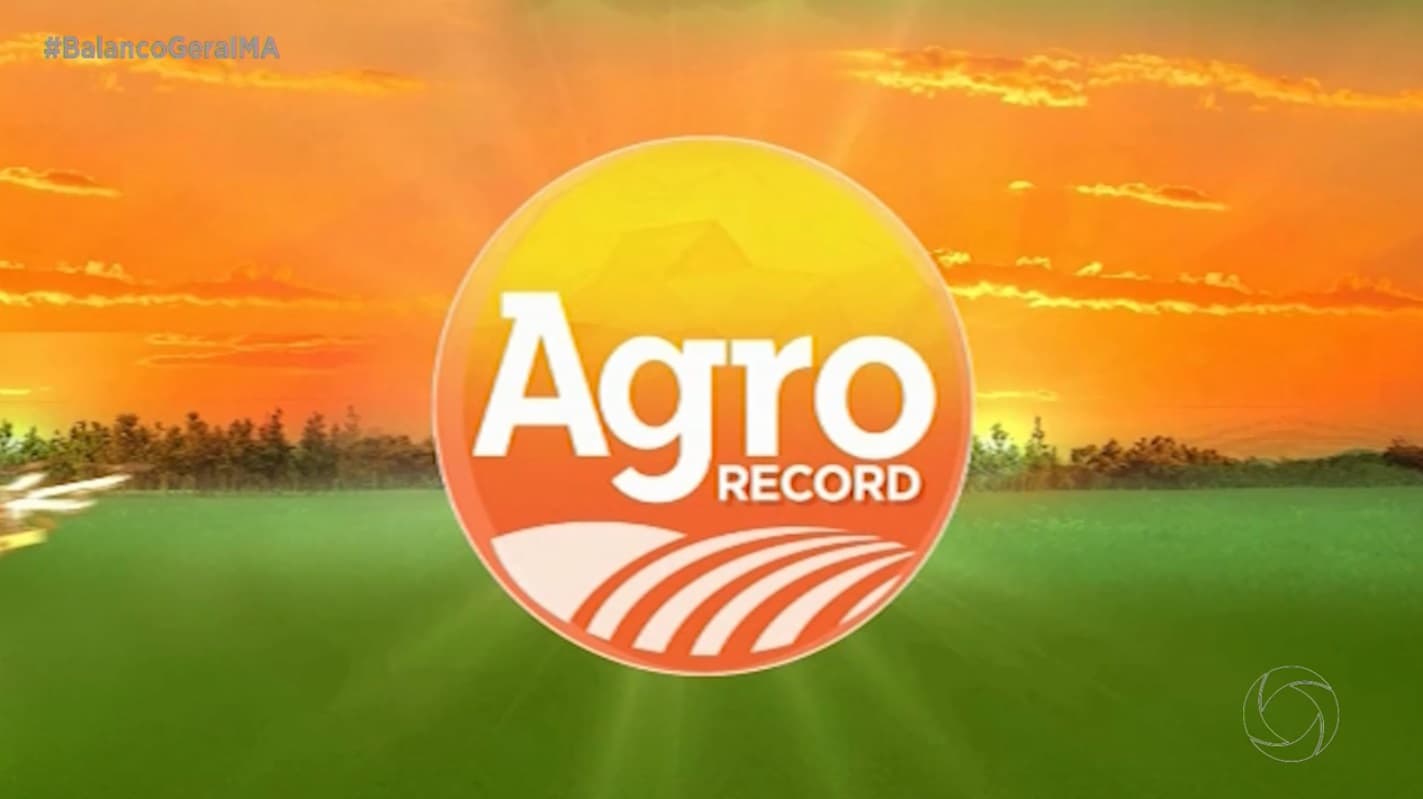 Agro Record: programa aborda redução no preço do café e resultados positivos do Maranhão na COP30