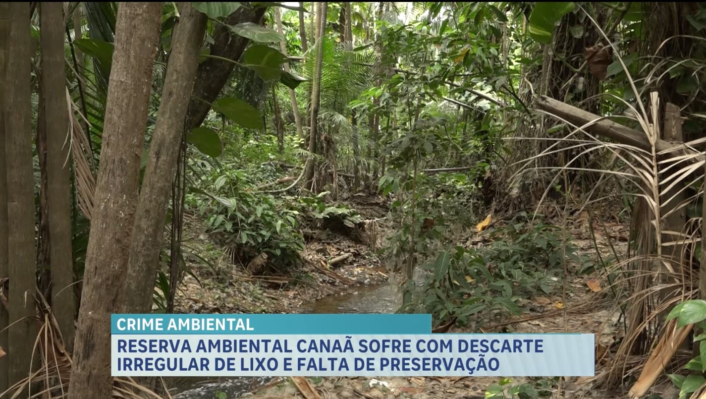 Reserva ambiental Canaã sofre com falta de preservação, em São Luís
