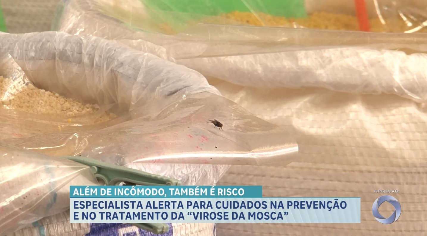 Virose da Mosca: especialista alerta para prevenção da doença