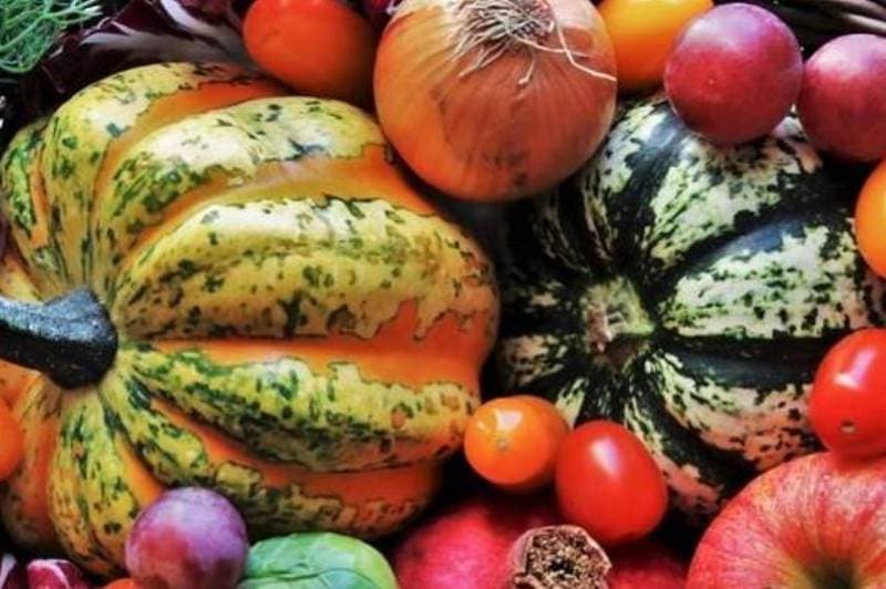 alimentos