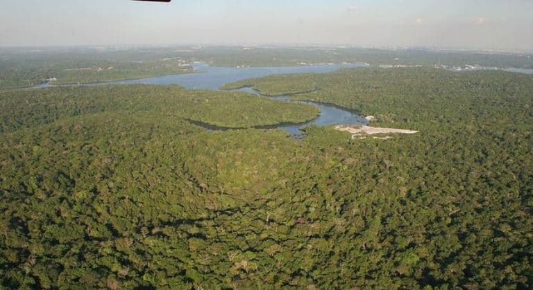 Amazônia perde 32 mi de campos de futebol de vegetação em 18 anos