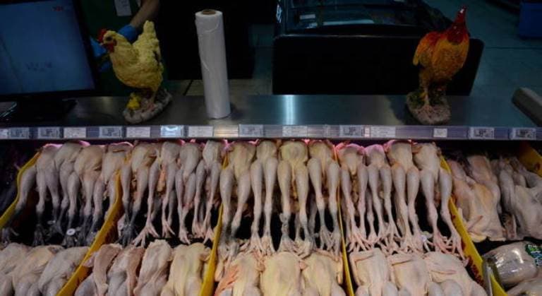 Em meio à pandemia de covid-19, UE alerta sobre surto de gripe aviária
