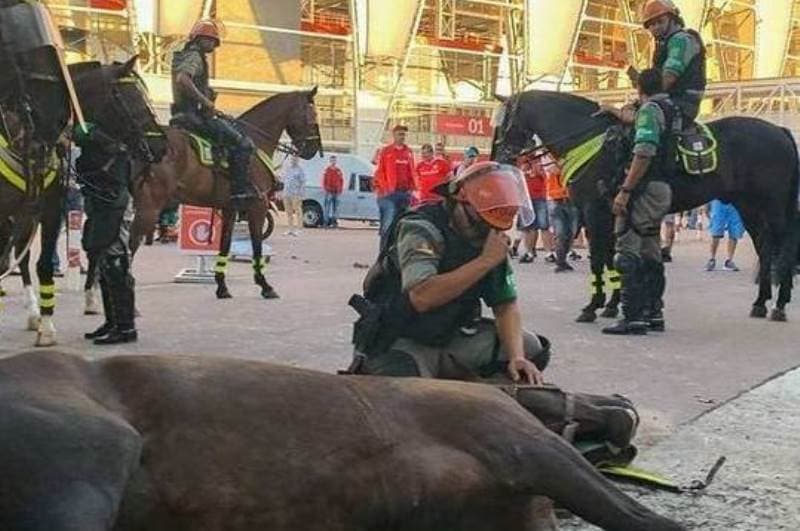 policial chora em cima de égua morta