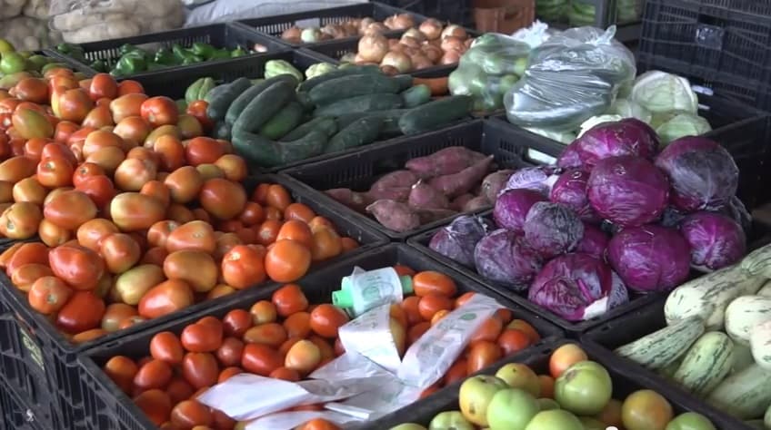 frutas, verdutas e alimentos em feira