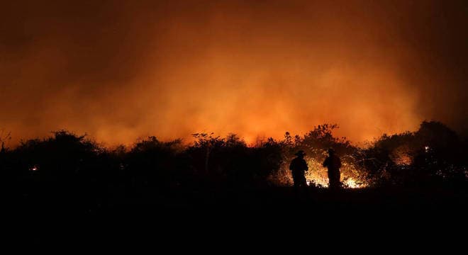 Área do Pantanal pode levar até 50 anos para se regenerar