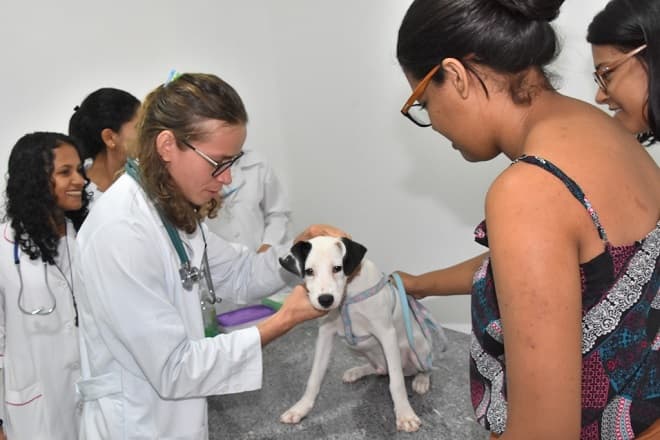 Cidade Olímpica recebe Programa Saúde Animal no sábado (7)