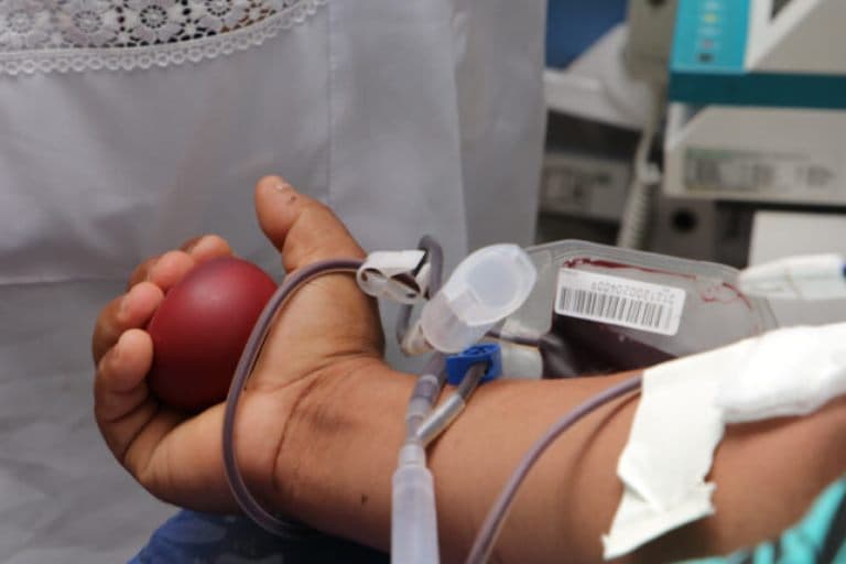 Com estoque de sangue crítico, governo incentiva doação no MA