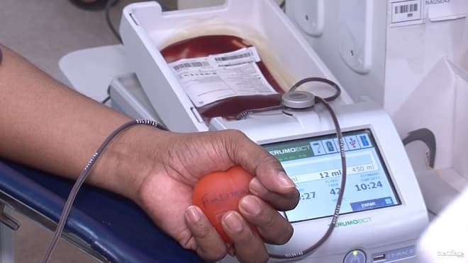 Hemomar adota novas regras para a doação de sangue