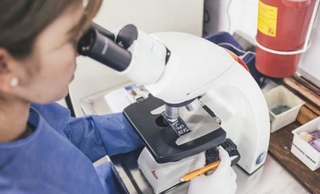 OMS alerta para aumento de resistência a antibióticos em infecções bacterianas