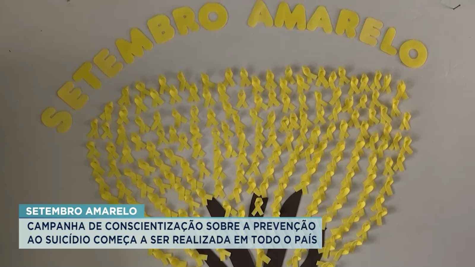 Campanha de prevenção ao suicídio começa a ser realizada no Brasil