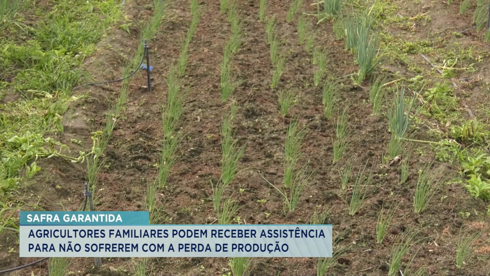 Governo do MA lança programa que beneficia agricultores familiares