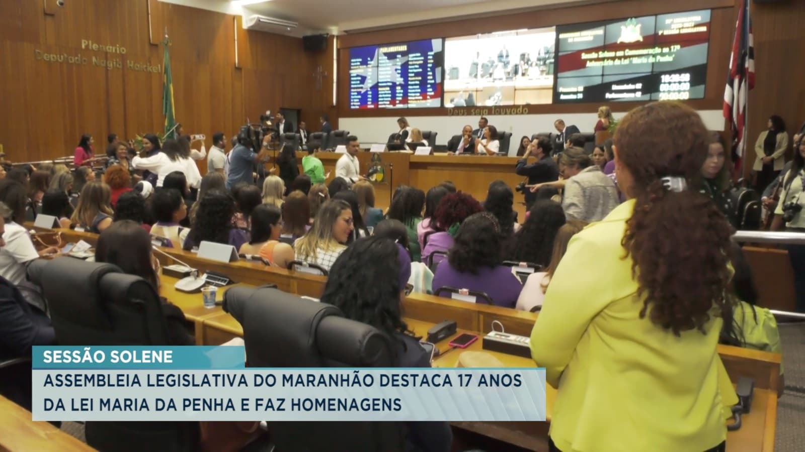 Assembleia Legislativa homenageia os 17 anos da Lei Maria da Penha