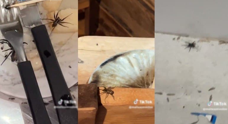 Casal aluga chalé romântico, mas é 'expulso' por infestação de aranhas