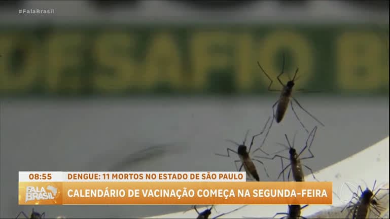 Saiba qual é o repelente ideal contra o mosquito da dengue