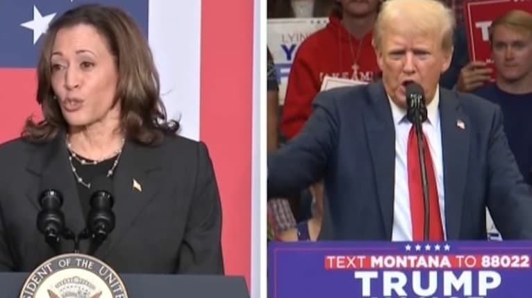 Eleições nos EUA: americanos escolhem hoje entre Kamala Harris e Donald Trump