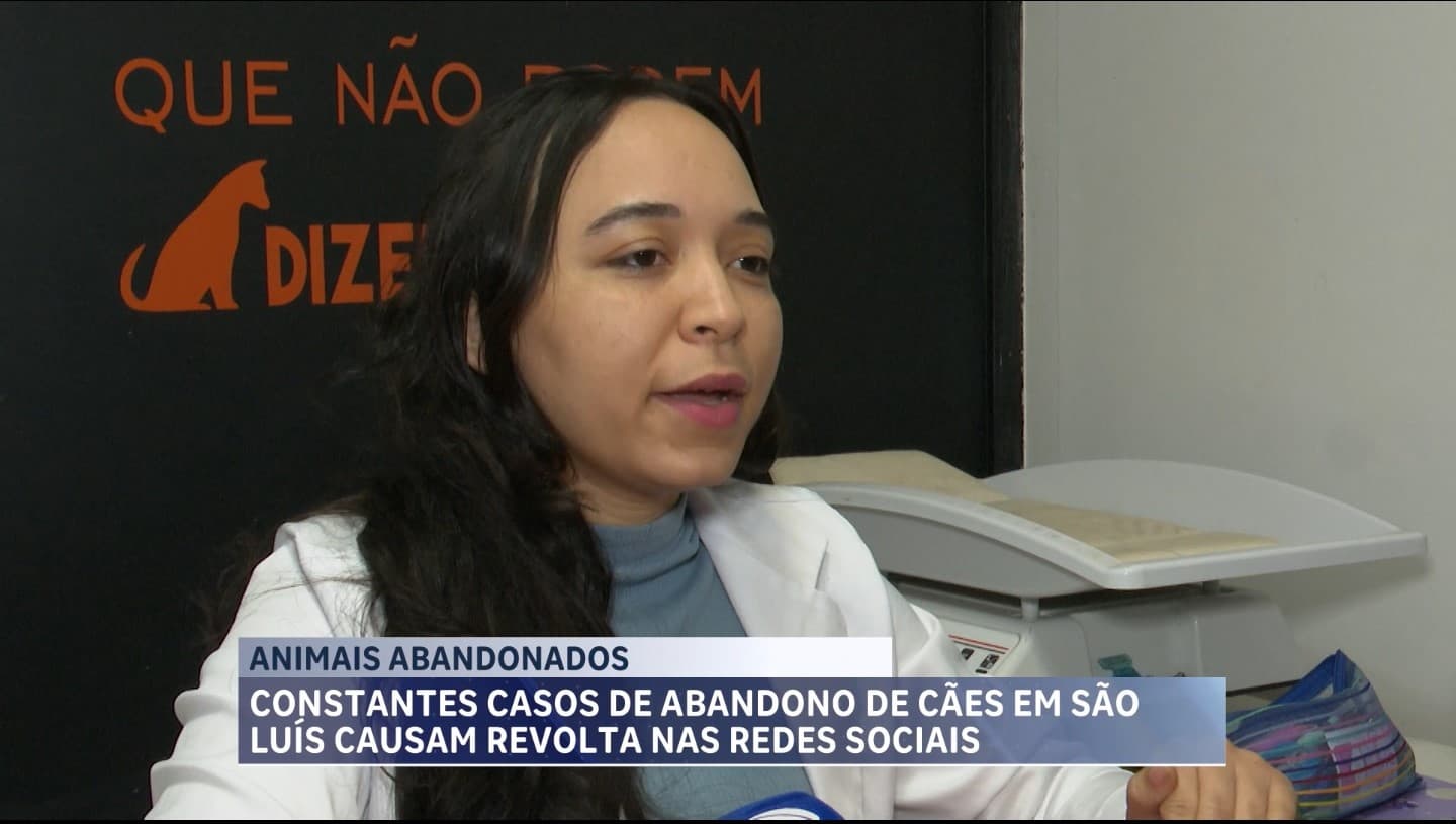 Saiba como agir em casos de flagrantes de abandono de animais