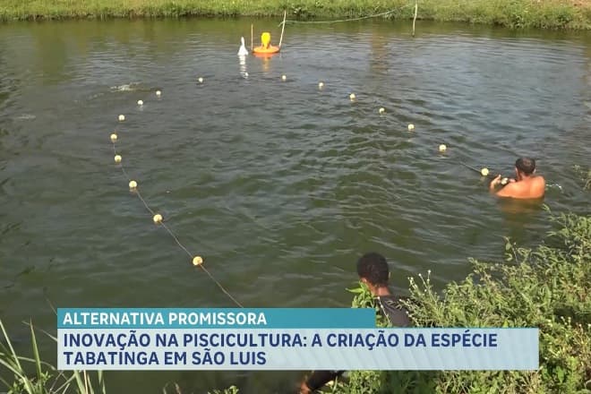 Agro Record: tradição, sustentabilidade e cultura no Maranhão