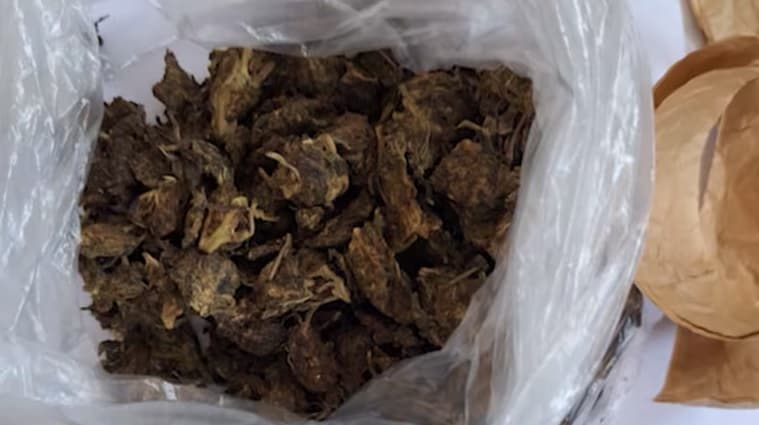 Drogas “zumbi” podem ter matado ao menos 14 detentos em MG