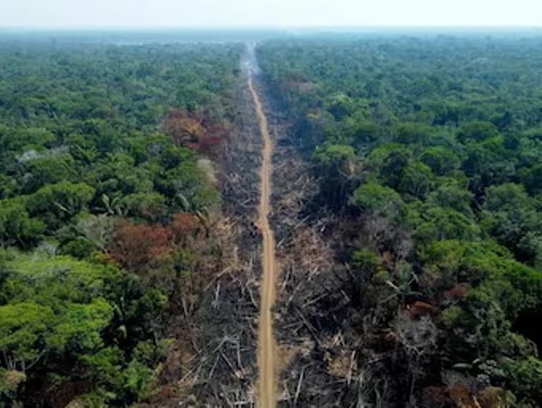 Crise na Amazônia e tragédia no RS podem deixar você sem comida