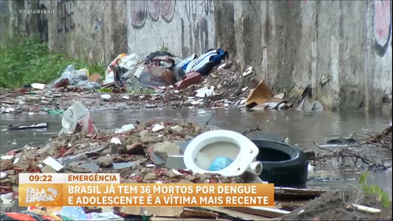 Alerta: Brasil já registrou 300 mil casos suspeitos de dengue e 36 mortes neste ano