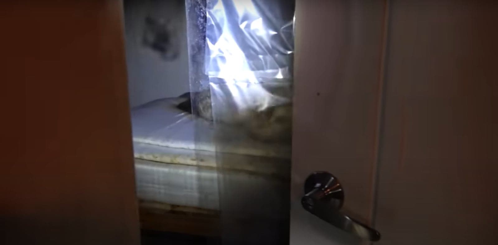 Quarto estava lacrado com plástico e a entrada acumulava pilhas de besouros mortos