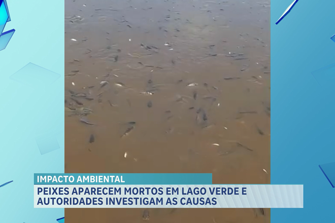 Moradores encontram grande quantidade de peixes mortos no povoado Lago da Mata