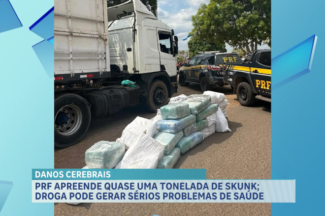 PRF apreende quase 1 tonelada de Skunk em Bom Jesus das Selvas