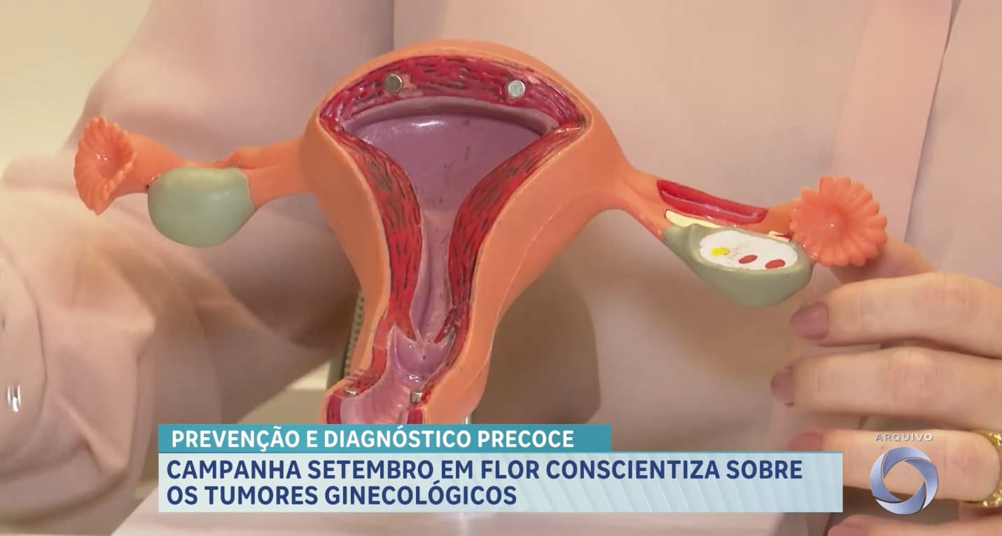 Campanha Setembro em Flor alerta para a importância da saúde ginecológica
