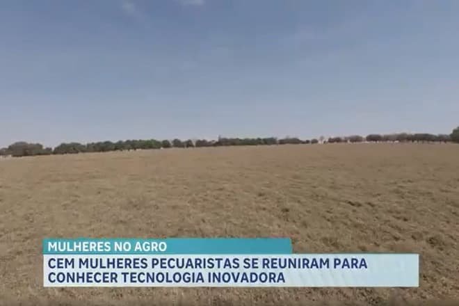 Agro Record: pecuaristas conhecem nova pastagem e Maranhão lança Tempo de Semear