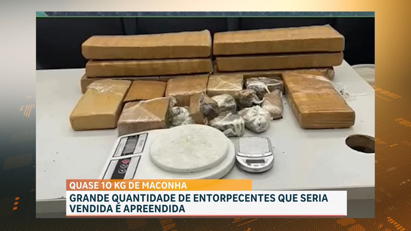 PM apreende quase 10 kg de maconha em tonel enterrado no Vinhais Velho