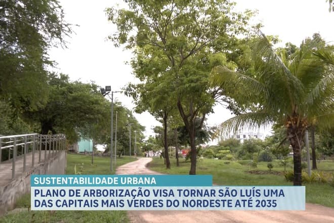 Plano de Arborização promove planejamento sustentável da capital maranhense