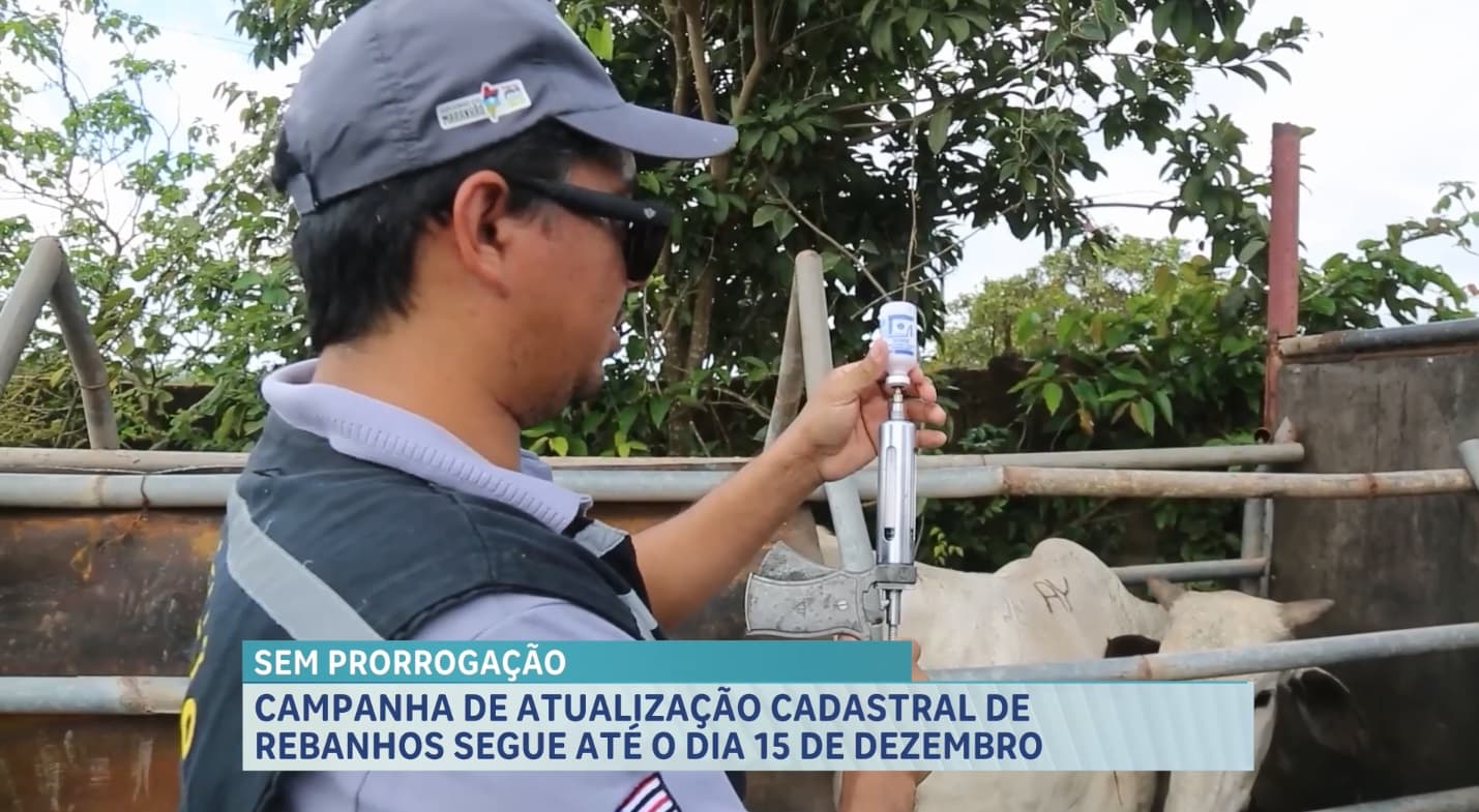 AGED/MA realiza segunda etapa da Campanha de Atualização Cadastral de Rebanhos