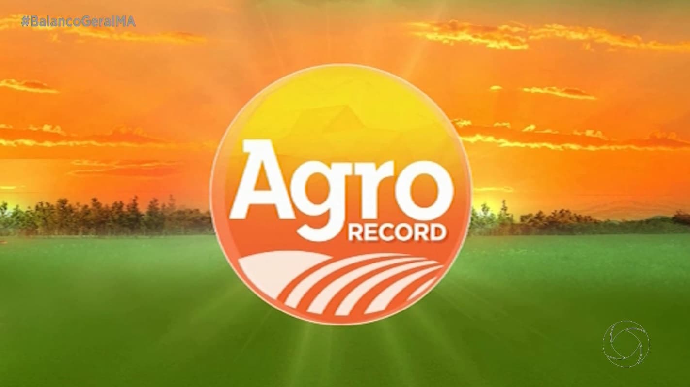 Agro Record: programa aborda reunião de produtores na COP30 e diminuição da produção de cana-de-açúcar.