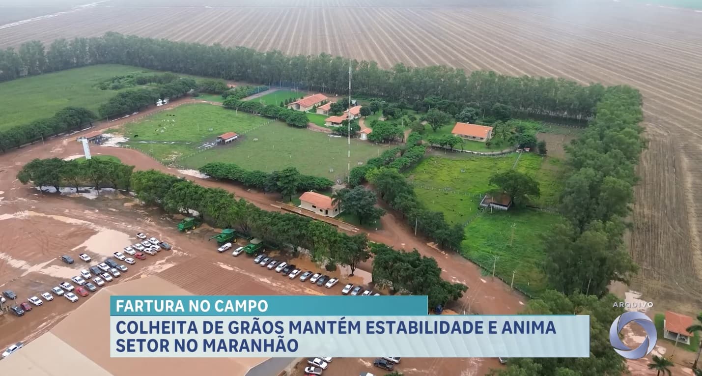 MA deve colher mais de oito milhões de toneladas de grãos na safra 2024/25