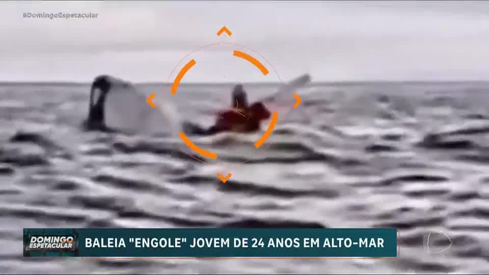 Quase Morri: Baleia-jubarte engole e depois expele homem em alto-mar