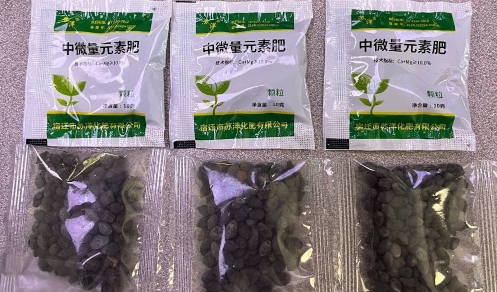 EUA temem que sementes 'misteriosas' da China causem devastação; entenda