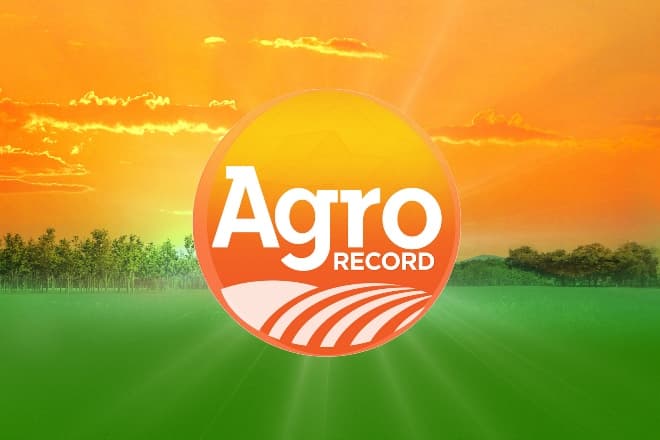 Agro Record: crescimento na produção de grãos, algodão e piscicultura impulsionam economia em 2026
