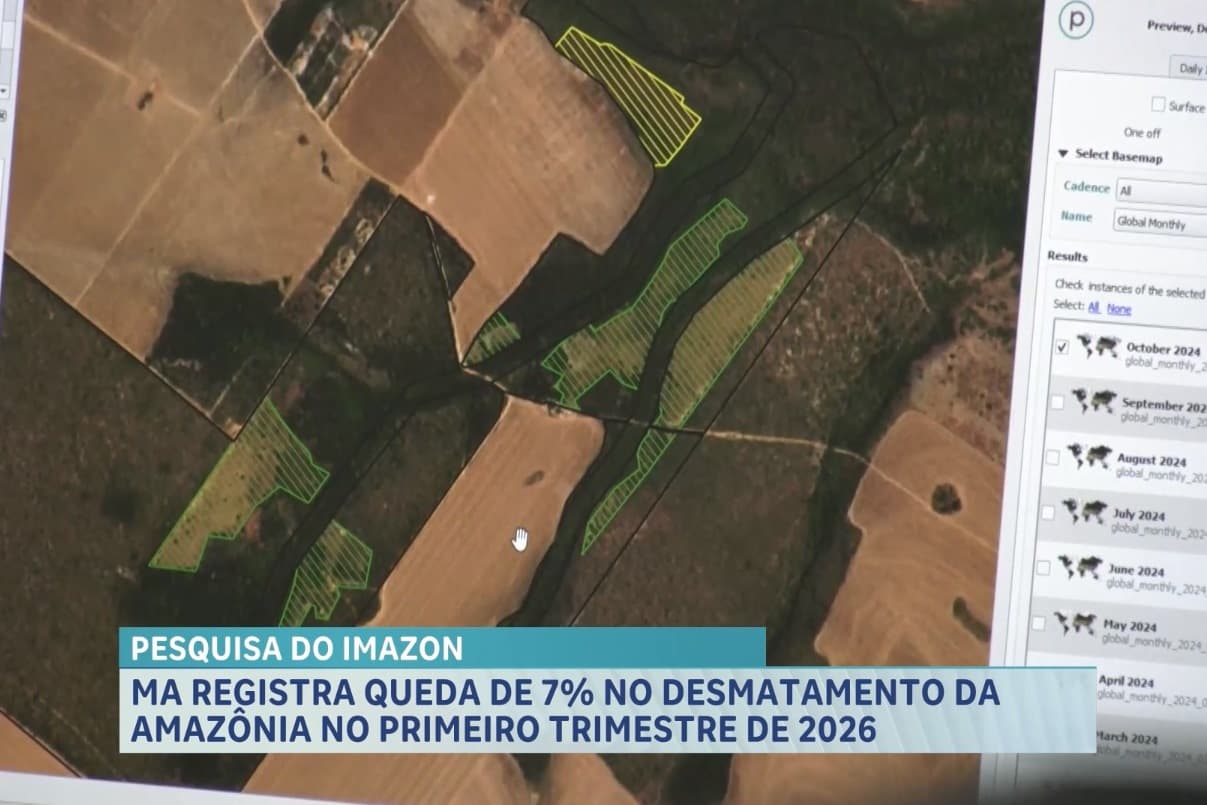 Maranhão registra queda no desmatamento no início de 2026, aponta pesquisa
