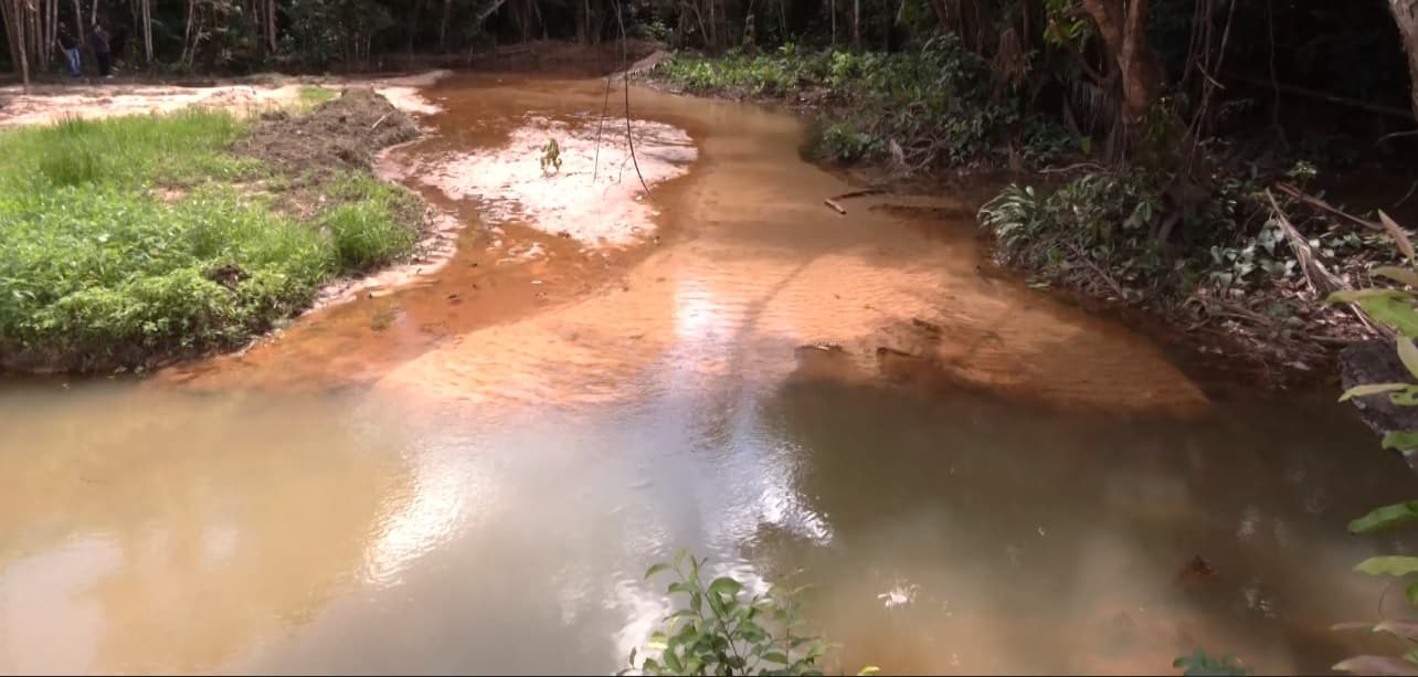 Projeto de pesquisa revitaliza nascentes do Rio Santa Bárbara