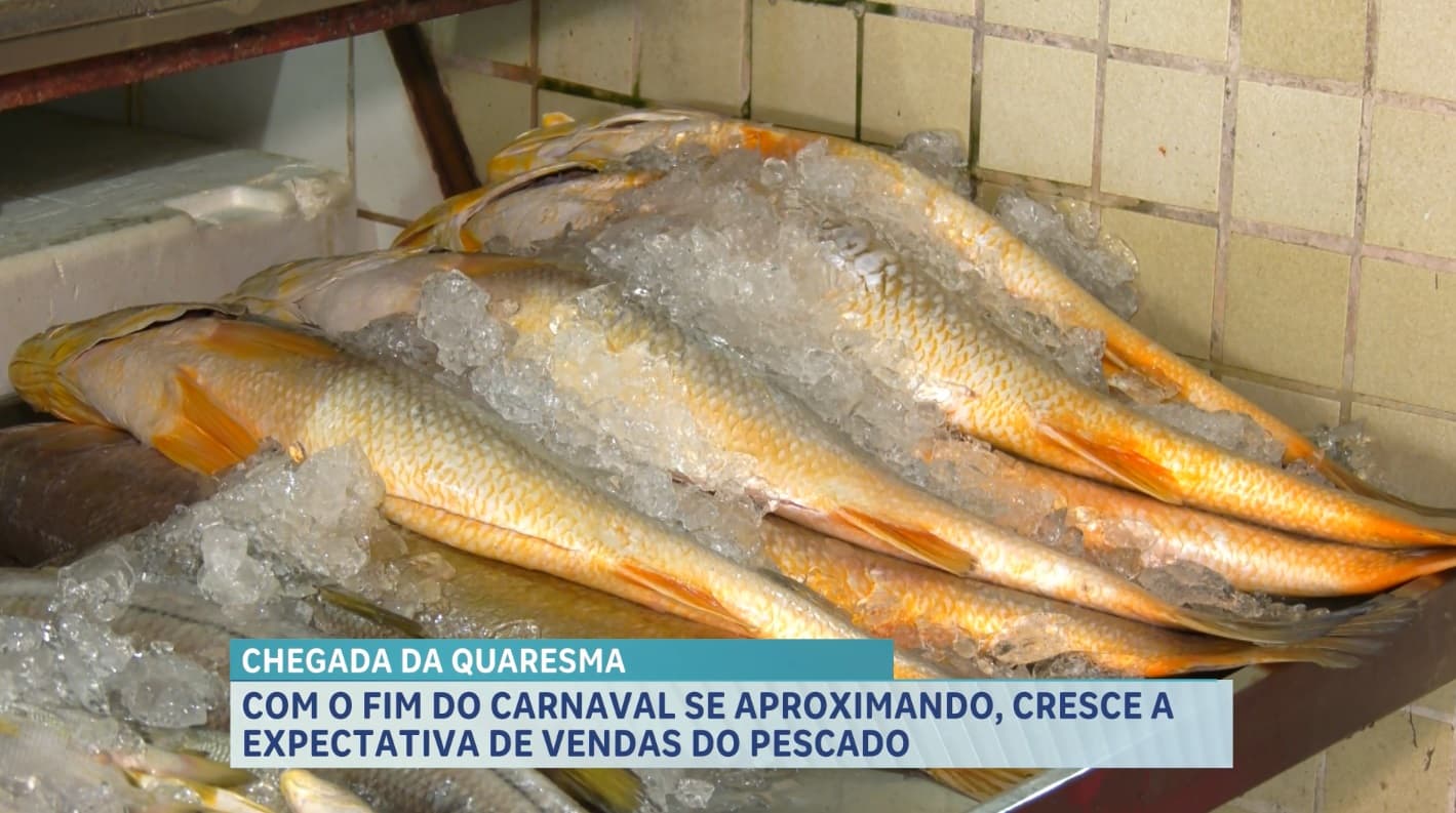 Quaresma aumenta movimento em feiras e impulsiona comércio de pescado na capital