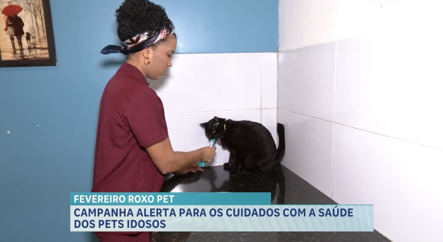 Fevereiro Roxo Pet reforça cuidados com a saúde de animais idosos