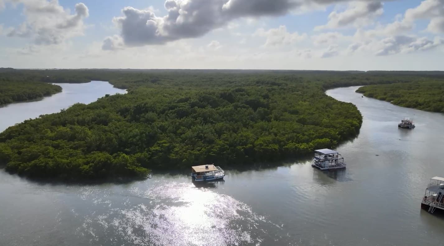 Maranhão concentra maior área de manguezais do Brasil, aponta novo mapeamento
