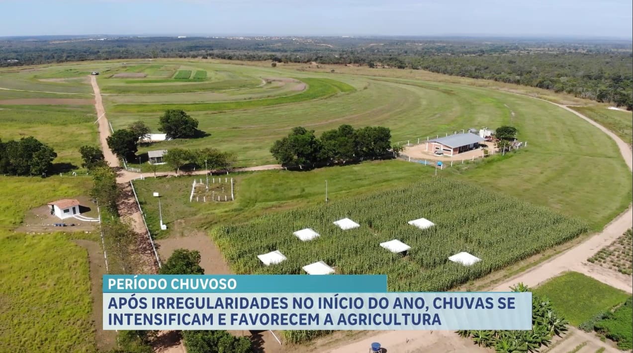 Após irregularidades no início do ano, chuvas se intensificam e favorecem a agricultura