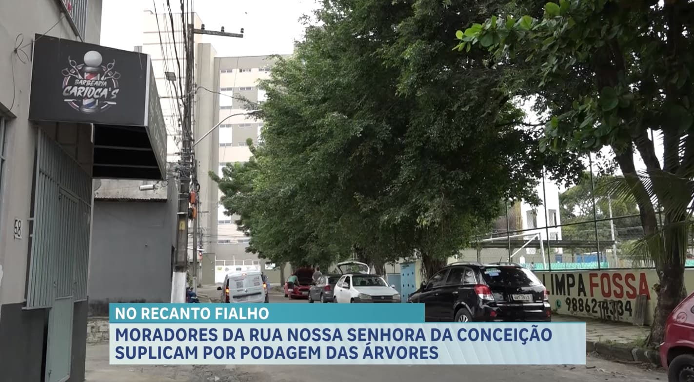 Moradores do Recanto Fialho cobram poda de árvores e denunciam riscos em rua de São Luís