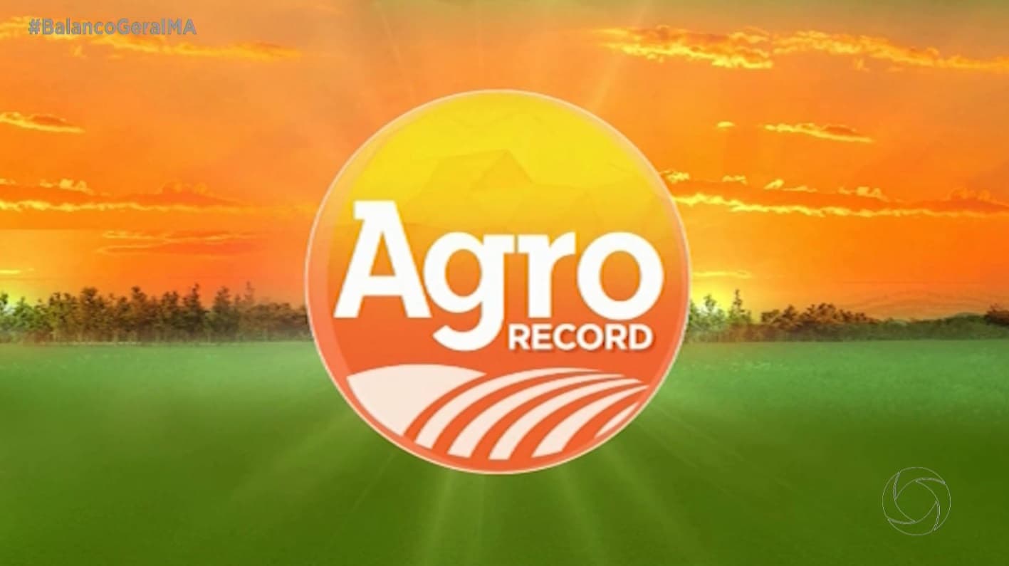 Agro Record: Maranhão avança na produção e se destaca no cenário agropecuário