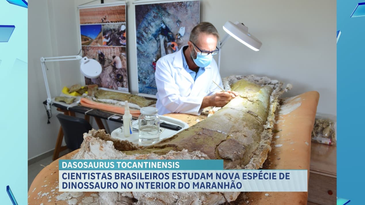 Cientistas brasileiros descobrem nova espécie de dinossauro no interior do Maranhão