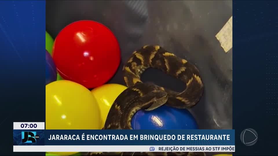 Jararaca é encontrada em brinquedo de restaurante em Suzano, na Grande São Paulo
