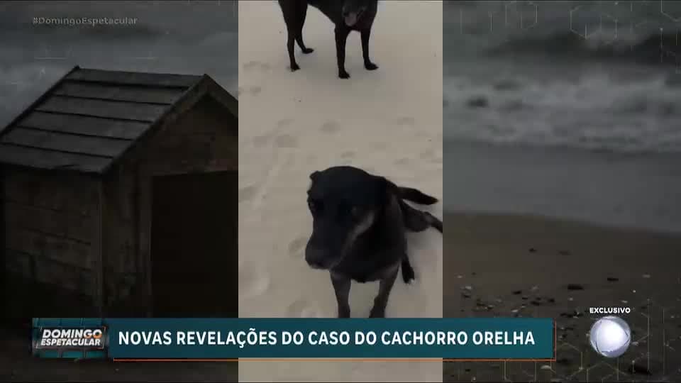 Mãe de suspeito de matar o cão Orelha fala pela primeira vez sobre o caso; veja
