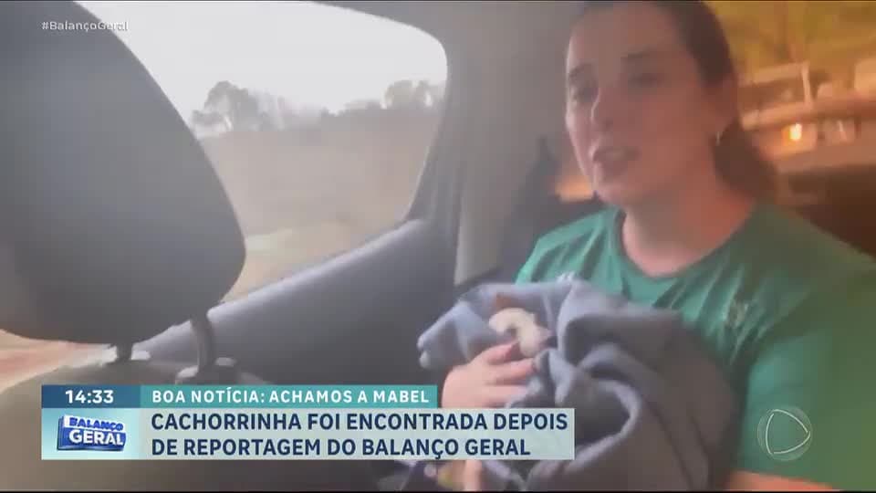 Cachorrinha que fugiu durante passeio é encontrada após reportagem do Balanço Geral